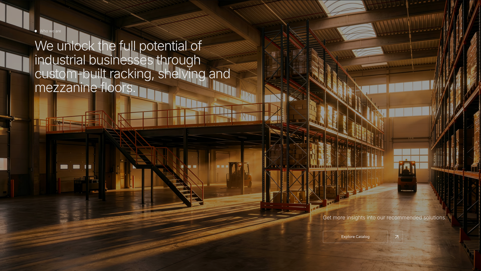 Shelving SA Website desktop screen 3