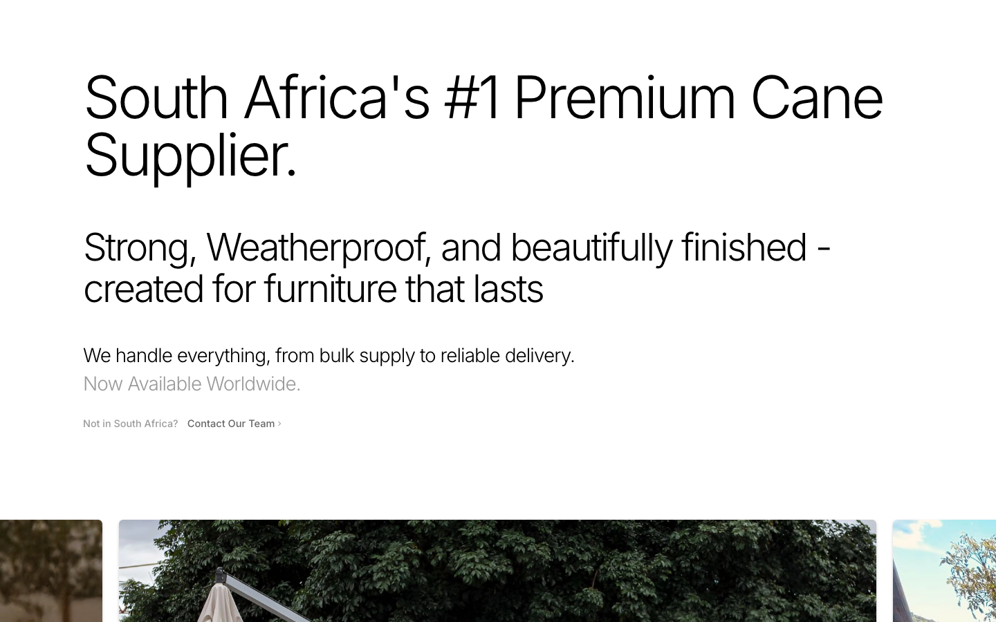 Taluka Premium Synthetic Cane desktop screen 2